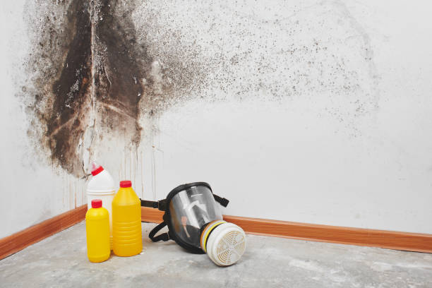 Best Water Damage Restoration  in Nellis Af, NV