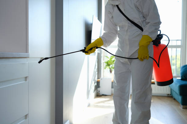 Best Home Mold Removal  in Nellis Af, NV
