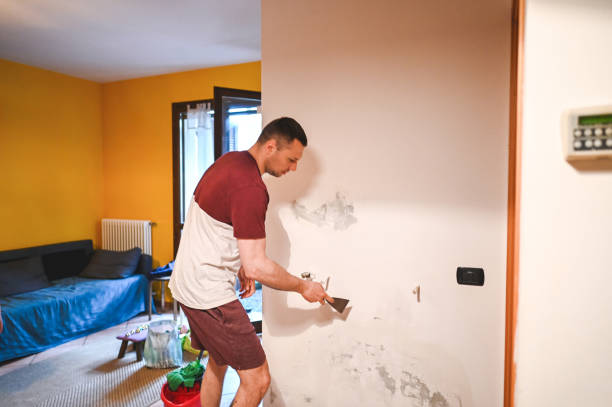 Best Mold Remediation  in Nellis Af, NV
