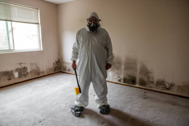 Best Emergency Mold Removal  in Nellis Af, NV